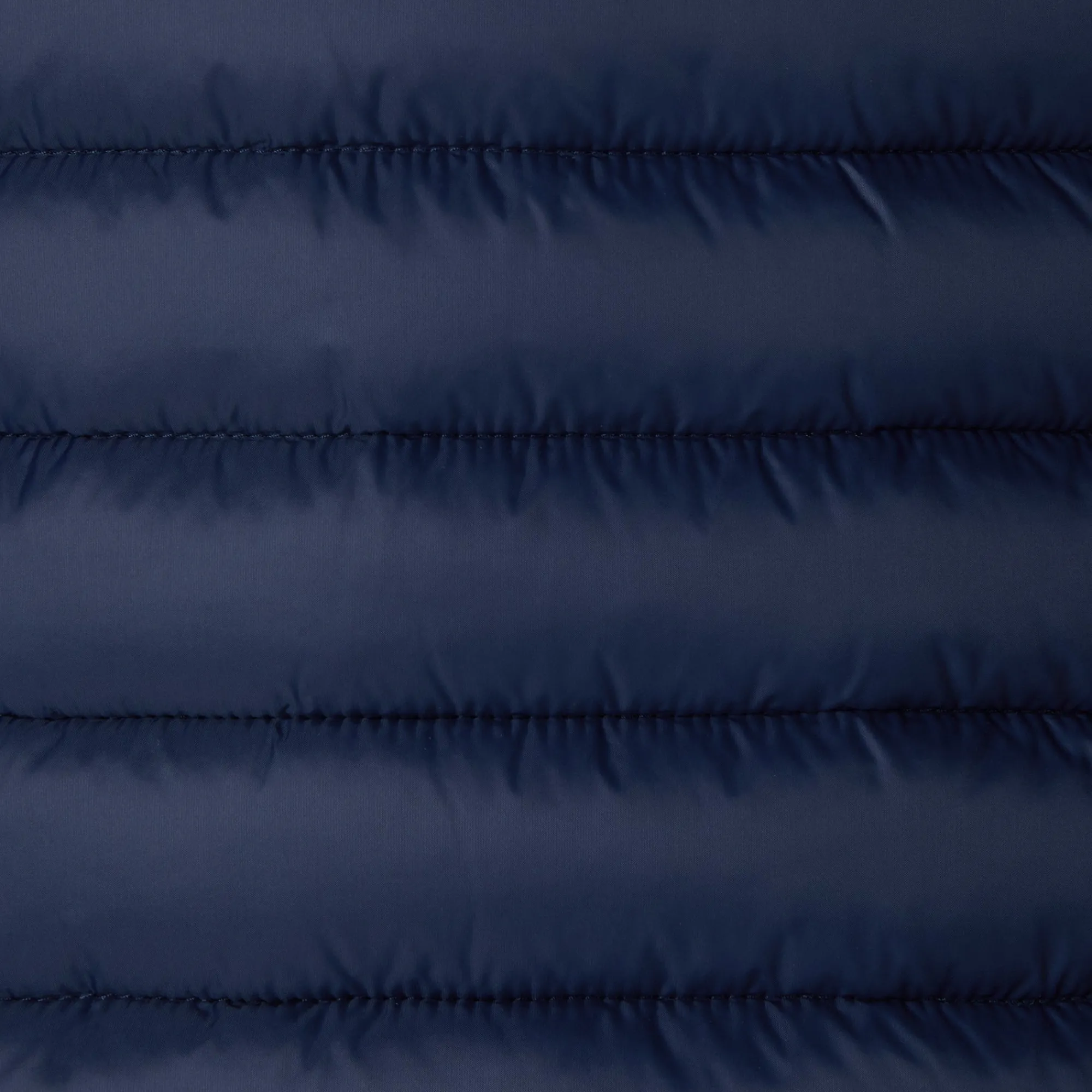 Homme Save The Duck Doudone Alexander Animal-free Pour Homme